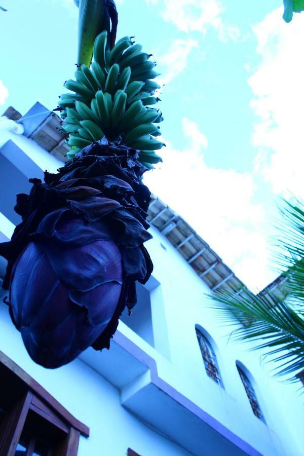 Hostel Divinópolis 外观 照片